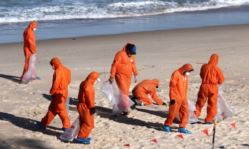 Znanstvenici se zgrozili otkrivši što je u misterioznim crnim lopticama koje je izbacilo more