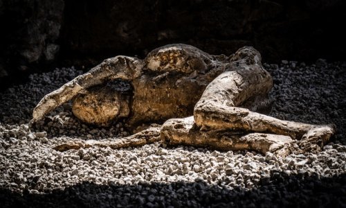 Analiza DNK Pompejaca baca novo svjetlo na povijesna shvaćanja i prethodna tumačenja