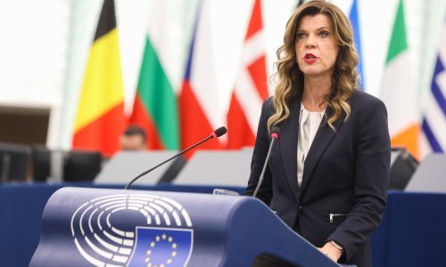 Biljana Borzan ima novu funkciju u Europskom parlamentu