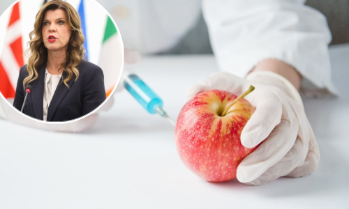 EU uvodi nova pravila za uzgoj hrane, Borzan upozorava: GMO-u nije mjesto u Hrvatskoj