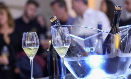 Vinari ostvarili zavidnu dobit: Prošla godina je bila i financijski plodna