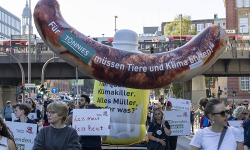 Vodeći EU stručnjaci: 'Ponestaje zemlje za stoku, prelazite na biljnu ishranu'