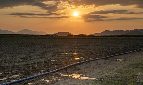 HUP iznio niz preporuka: Crna poljoprivreda najveći problem u Hrvatskoj