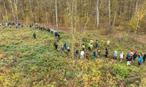 Šumoborci po 100-ti put u akciji: 8,500 volontera posadilo 156,000 novih stabala
