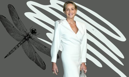 Gotovo bez trunke šminke: Sharon Stone blistala u haljini inspiriranoj 80-ima