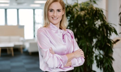 Imenovanja na vrhu AmChama: Anita Letica i Stjepan Roglić u Vijeću upravitelja