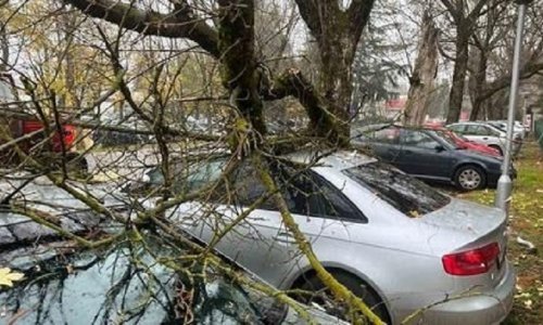 Jaka bura na splitskom području stvara probleme, ruši stabla i rasvjetne stupove