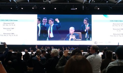 COP29: Teško izboren dogovor o financiranju borbe protiv klimatskih promjena