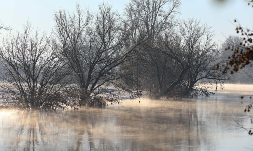 Strava na Korani: Napio ga, nadrogirao pa ga ubio, sve da bi mu ukrao BMW