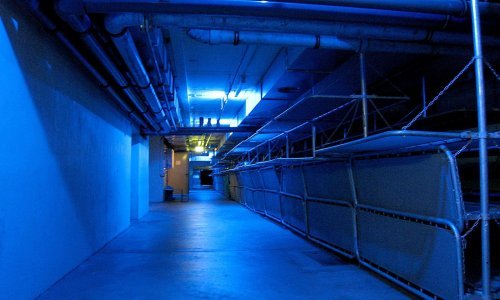 Njemačka radi na aplikaciji za skloništa. Izrađuje i popis što se sve može pretvoriti u njih