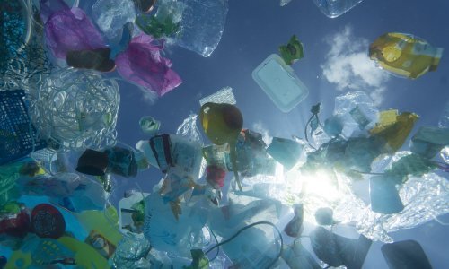 Kako smanjiti upotrebu plastike? Neke metode su već poznate