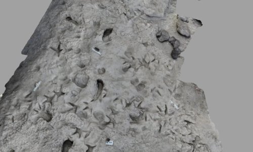 Arheološka senzacija: Tragovi otkrivaju suživot hominina prije milijun i pol godina