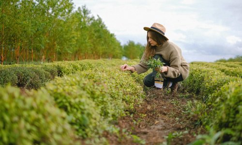Ova akademija mijenja Hrvatsku nabolje