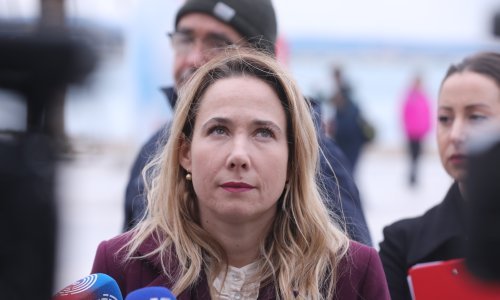 Selak Raspudić: 'Glasovanje se odgađalo premda su se unaprijed dogovorili'