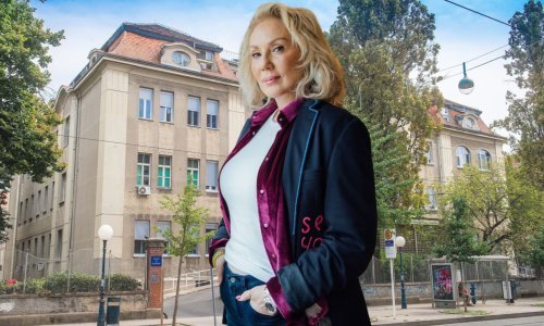 Lepa Brena puštena iz bolnice nakon teškog prijeloma noge