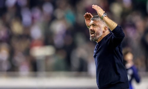 Pogledajte Gattusovo ludilo; vuče svoje igrače, gura ih, divlja...