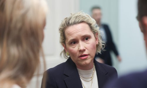 O slučaju Kekin i u EP: Bosanac zatražio reakciju EU, Glavak oduzeta riječ