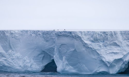 Najveća santa leda na svijetu pobjegla iz vrtloga u kojem je bila zarobljena 30 godina: Kuda ide?