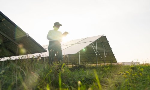 Spajanje solarnih panela s poljoprivredom daje nevjerojatne rezultate: 'Uspjeli smo izvući više iz zemlje'