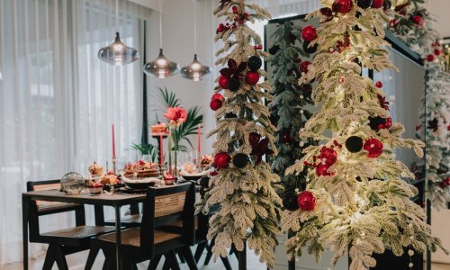 Mirjana Mikulec savjetuje kako okititi bor i gdje ga smjestiti