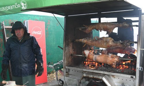 Dramatične brojke 'crne' poljoprivrede: Ovo što se radi s janjetinom mora stati! U džep spreme više od 40 milijuna eura