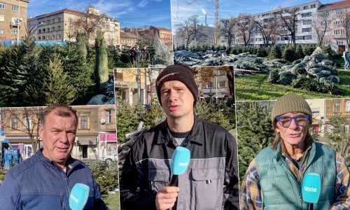 Provjerili smo cijene božićnih borova: Tisuću eura? Nema šanse