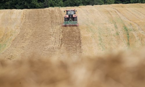 Blago padaju cijene poljoprivrednih proizvoda; Hrvatska prednjači u jednoj stvari