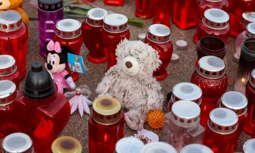 Pedeset udruga pridružuje se mimohodu 'Za sigurnu školu'