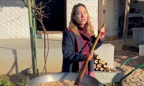 Poslušajte obradu Divljih jagoda koju je Marija Selak Raspudić prisvojila za kampanju