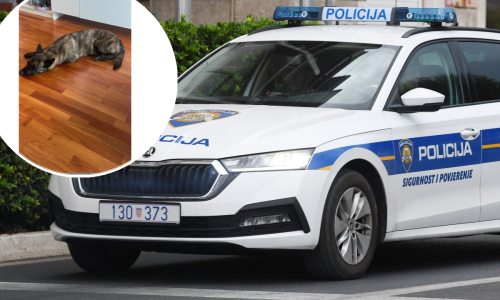 Policija moli za pomoć: Pobjegao nam je pas