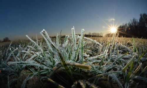 Ledeno jutro u Hrvatskoj: Neki se bude u debelom minusu, evo kakvo je stanje po gradovima