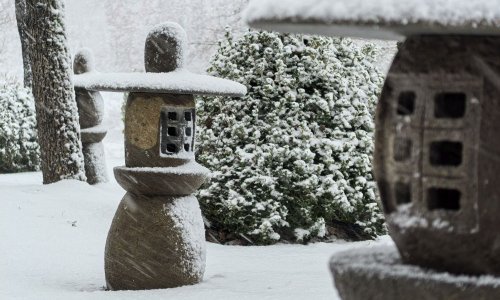 Božićni blagdani Gorana Jovića kroz objektiv Huawei Pure 70 Ultra