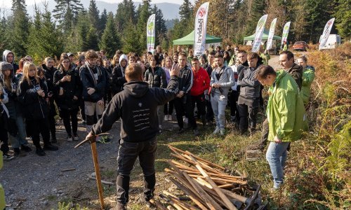 Najintenzivnija godina: U 37 akcija posađeno 53 tisuće stabala