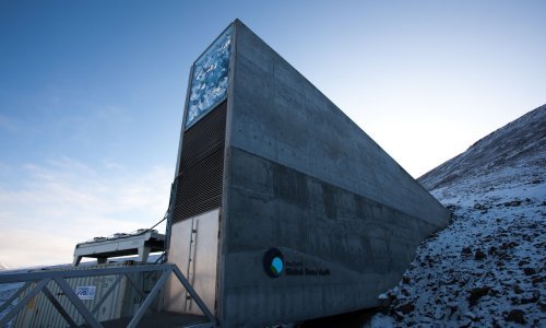 Banka sjemena na Svalbardu: Od izumiranja spašeno 6.297 vrsta usjeva