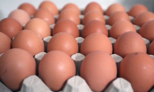 Hitno se s polica povlače jaja u kojima je pronađena opasna bakterija