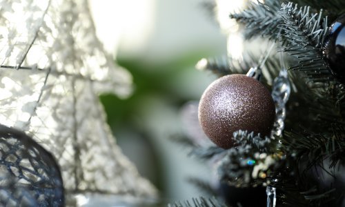 Zagrebačka policija otkrila krivca za metak u kuglici na boru