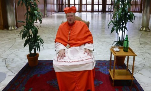 Trumpov kritičar McElroy postao novi washingtonski nadbiskup