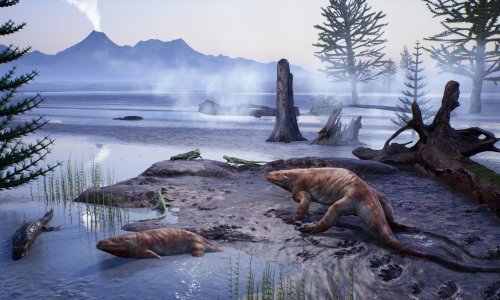 Kako je planinarka slučajno otkrila izgubljeni svijet stariji od dinosaura