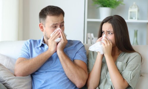 Vlaga i plijesan stvaraju vam probleme? Rješenje je na dohvat ruke