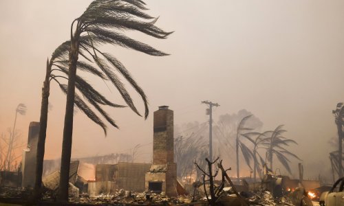 Vatreni obruč steže Los Angeles; novi požar buknuo iznad Hollywood Boulevarda i Staze slavnih
