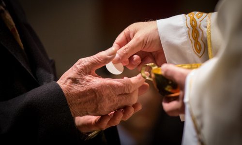 Župne statistike otkrile koliko je u 2024. godini podijeljeno hostija vjernicima u Međugorju