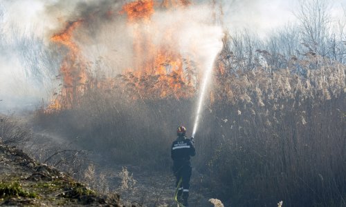 Nepoznati piromani izazivaju požare u dolini Neretve