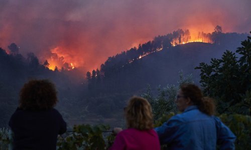 Sve više razornih požara diljem Europe: Ovo su najvažniji savjeti za preživljavanje