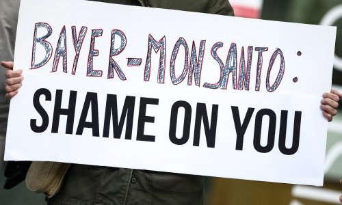 Bayer mora platiti 100 milijuna dolara oboljelima zbog kemikalija u školi: Što su pokazali dokazi?