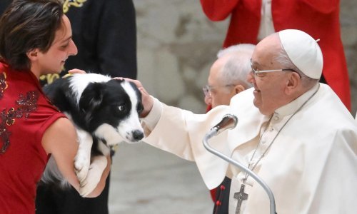 Papa pao i natukao ruku, nije je slomio