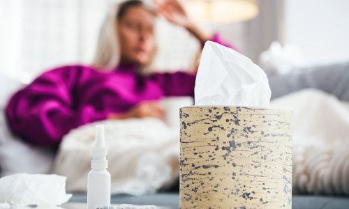 Vrhunac epidemije gripe krajem siječnja i početkom veljače