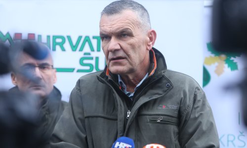 Istražili smo kako posluju Hrvatske šume: Okreću stotine milijuna eura