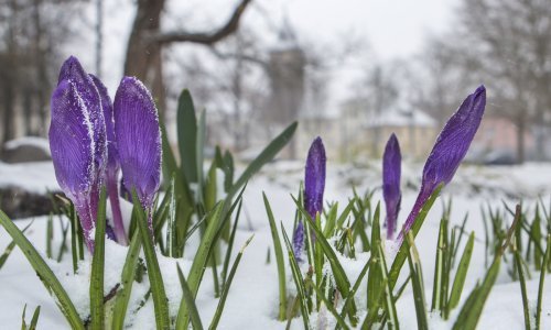 Severe Weather Europe objavio detaljna predviđanja: Ovako će izgledati proljeće