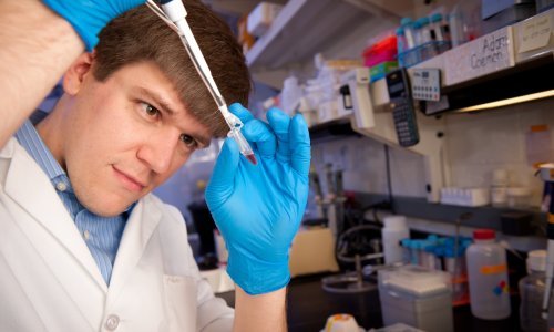 Istraživanje provedeno u 68 zemalja pokazuje visoku razinu povjerenja u znanstvenike