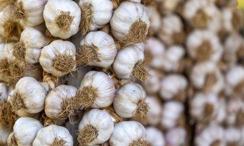 Povučen smrznuti češnjak iz Metroa